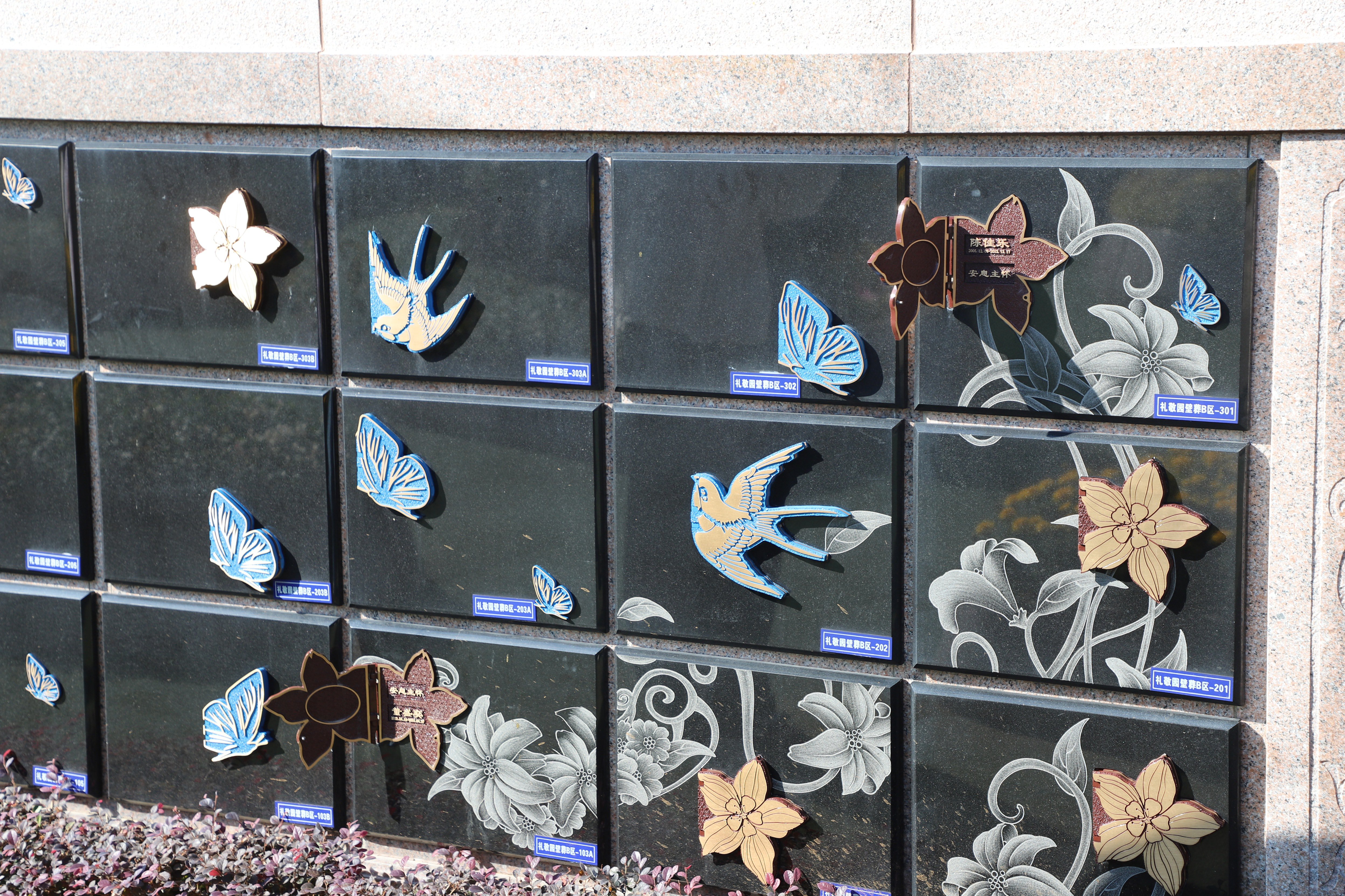 Z6·尊龙凯时(中国区)人生就是搏!