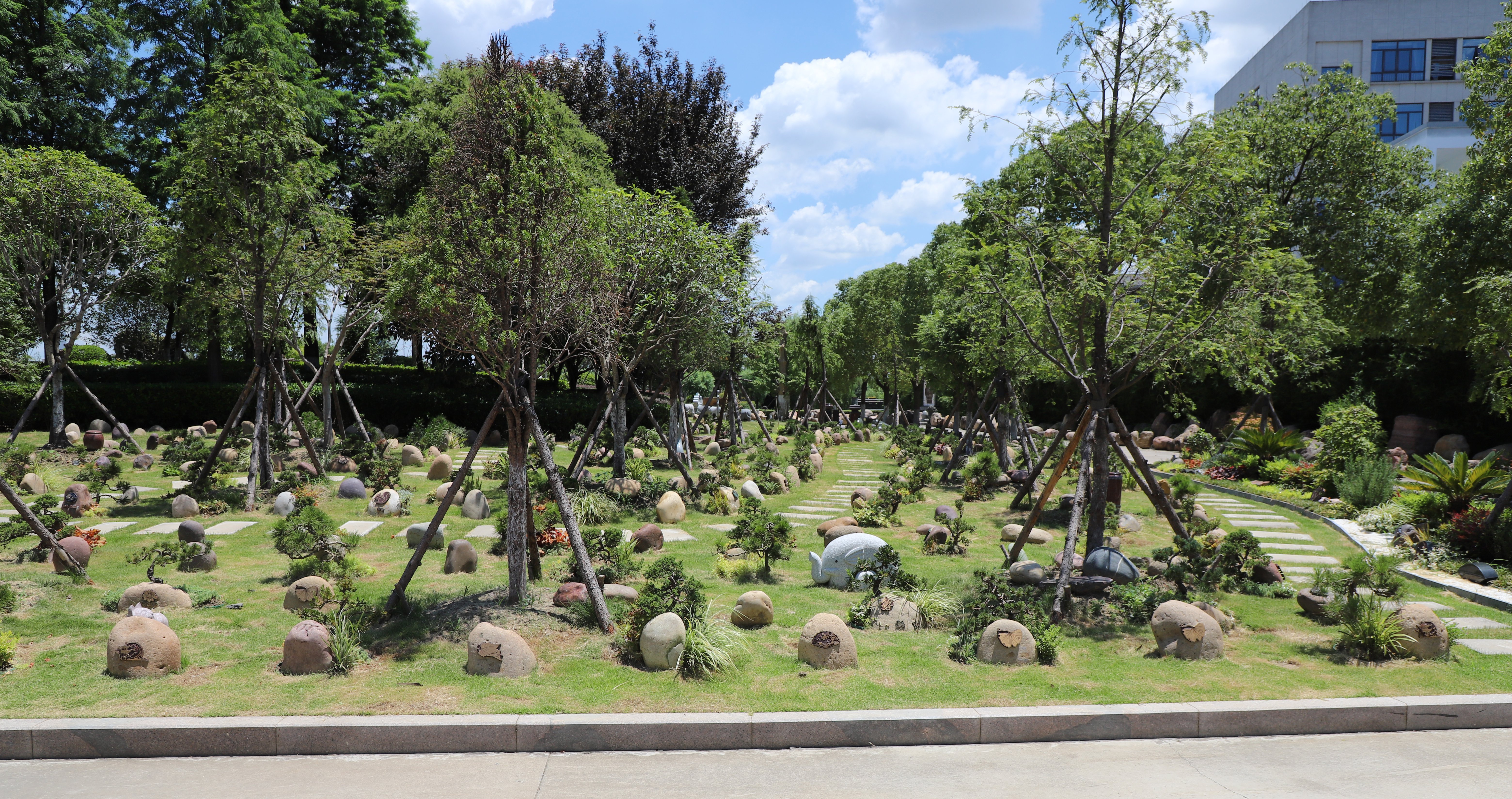 Z6·尊龙凯时(中国区)人生就是搏!