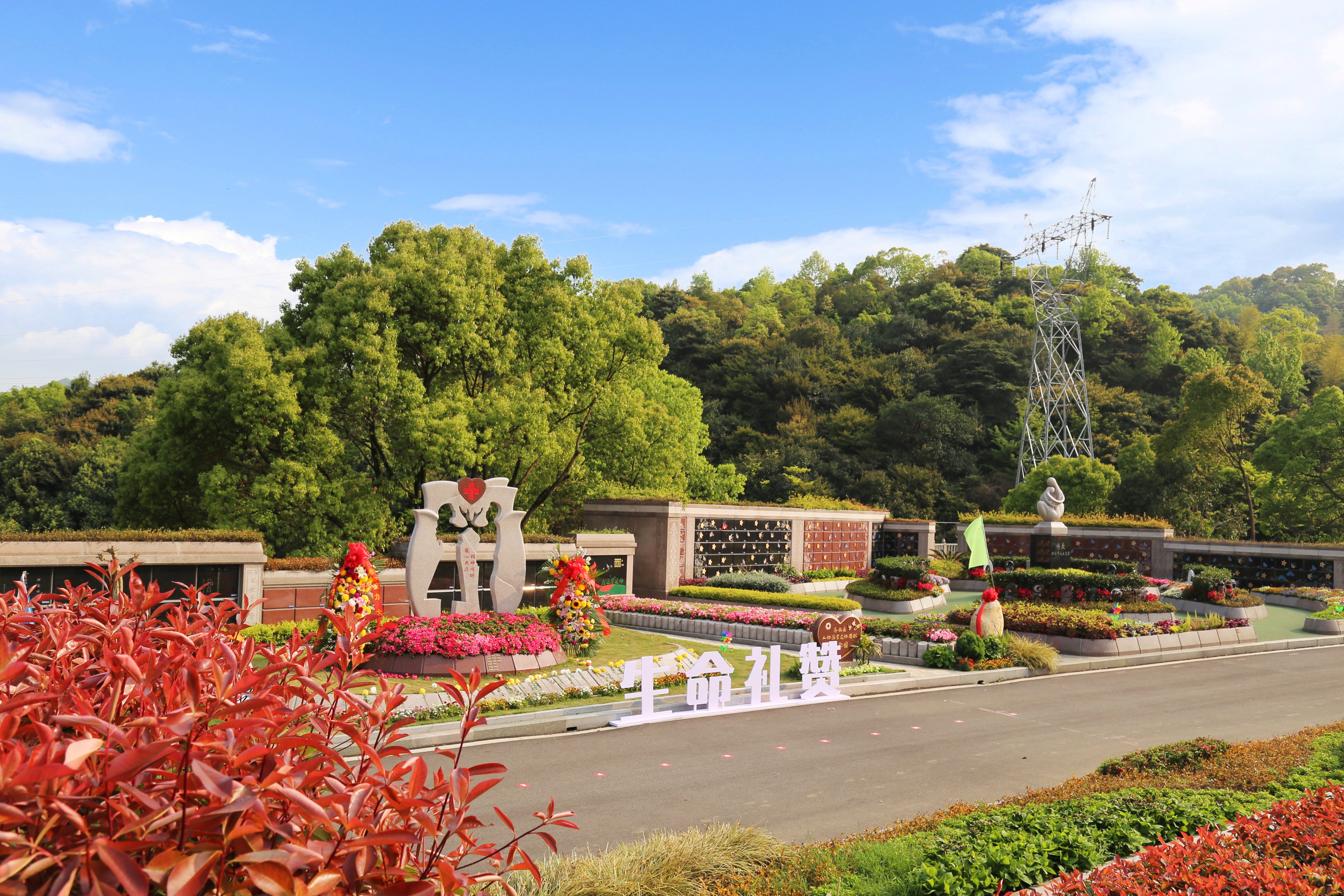 Z6·尊龙凯时(中国区)人生就是搏!