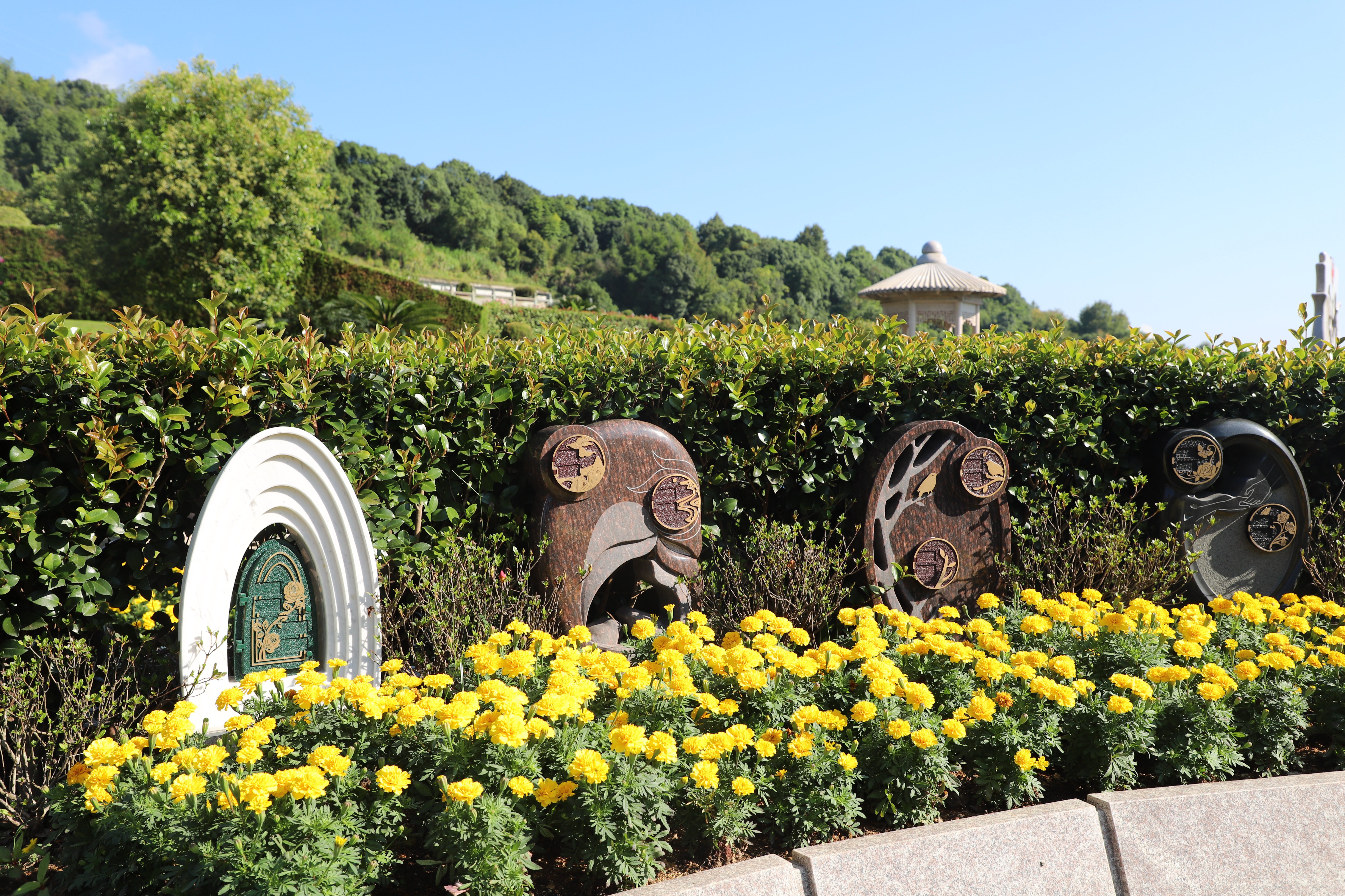 Z6·尊龙凯时(中国区)人生就是搏!