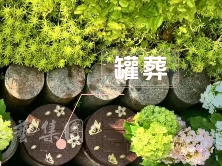 1-260521150H13V Z6·尊龙凯时(中国区)人生就是搏!