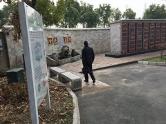 以心为笔，绘就可落地的性命花圃