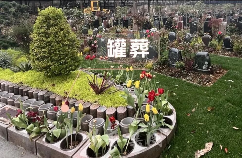 1-260R11432331H Z6·尊龙凯时(中国区)人生就是搏!