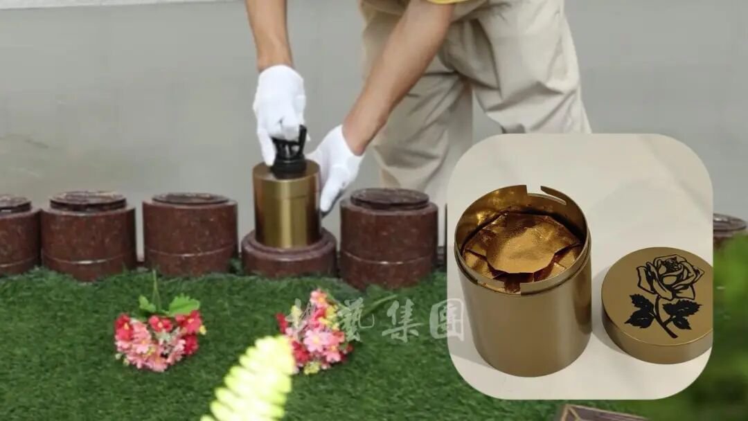 1-260R1143303529 Z6·尊龙凯时(中国区)人生就是搏!