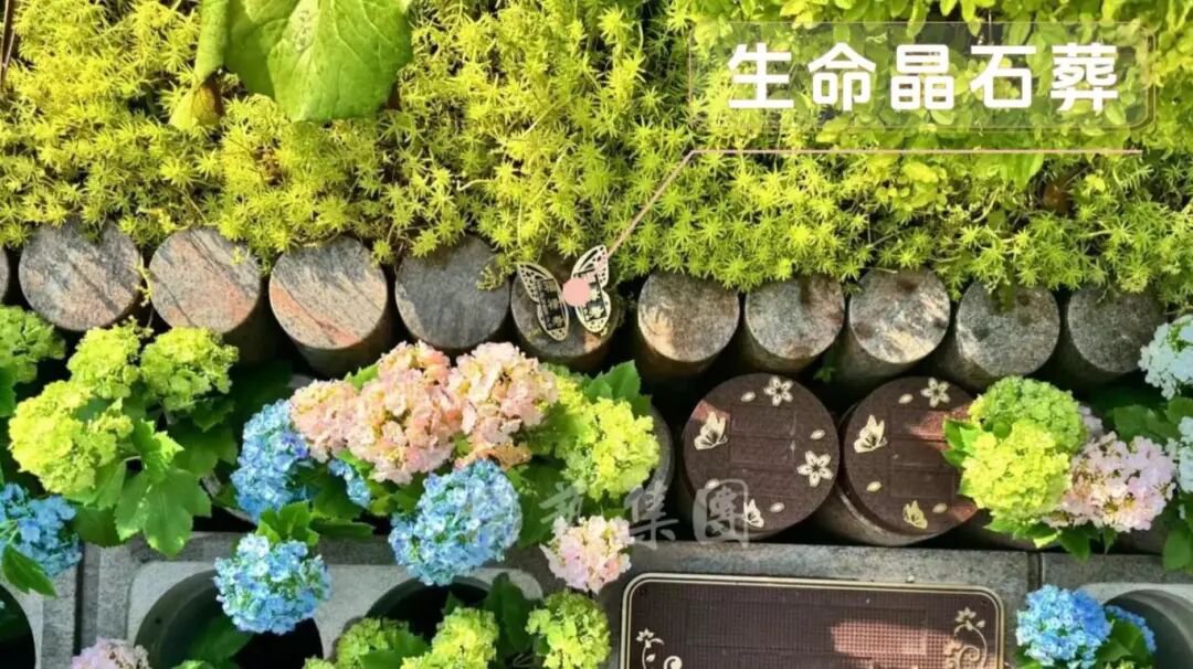 1-260R1143316435 Z6·尊龙凯时(中国区)人生就是搏!