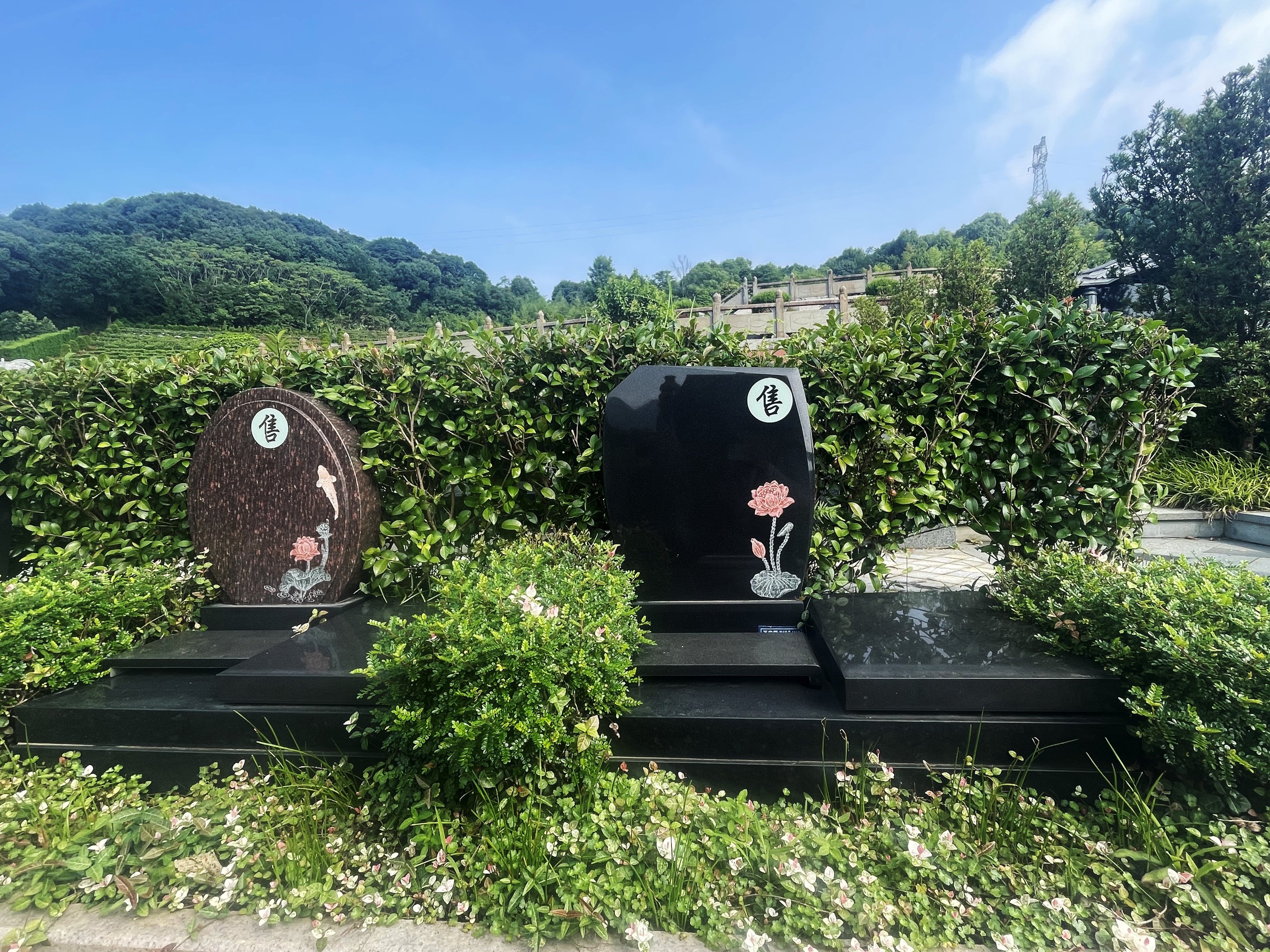 1-2609100UAMH Z6·尊龙凯时(中国区)人生就是搏!